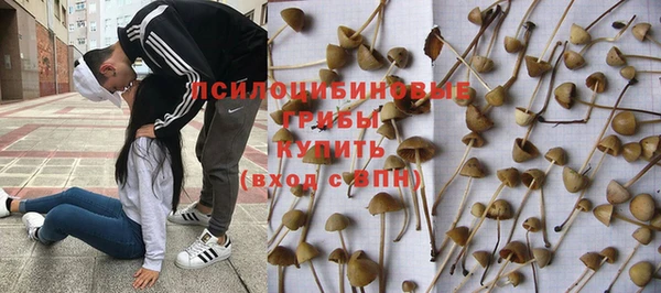 PSILOCYBIN Вязьма
