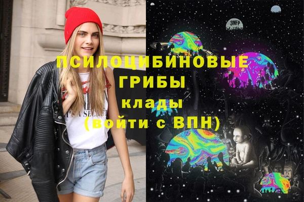 ешки Горнозаводск