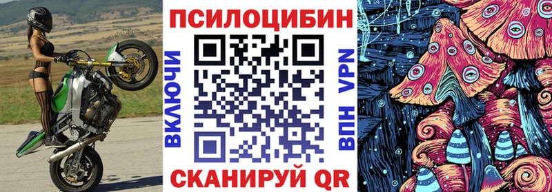mega ТОР  продажа наркотиков  Заполярный  Галлюциногенные грибы Psilocybe 